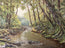 Tranquile Forest Stream