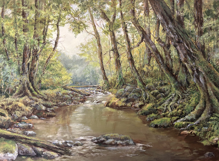 Tranquile Forest Stream
