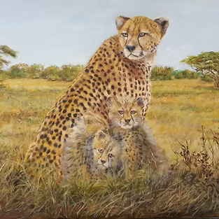 Cheetah With Cubs