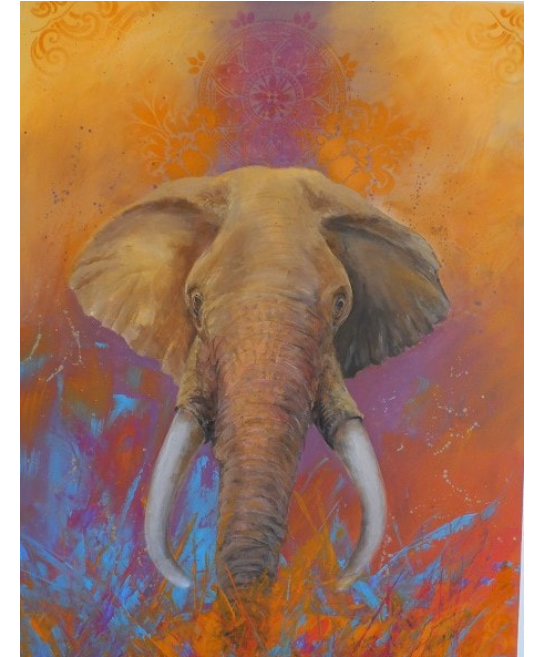 Elephants Are Infinite Wonder