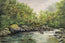 Serene Forest Stream